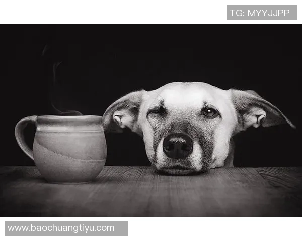 足球女星抱狗萌态尽显 温暖瞬间感动球迷心扉